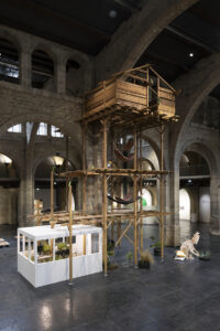 The Everyday as Exhibition